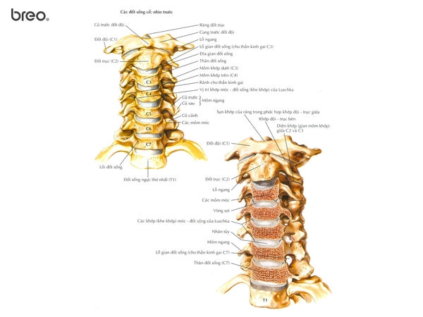 Máy massage cổ vai gáy