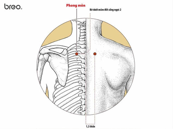 máy massage cổ vai gáy