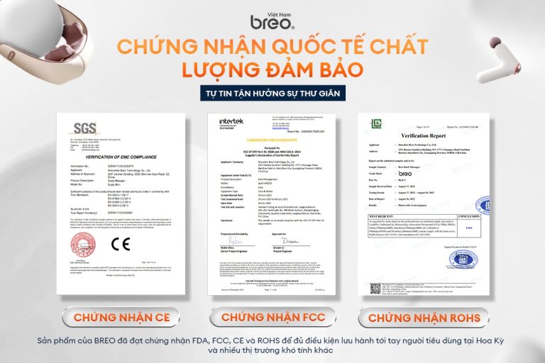 chung nhan breo 6 1